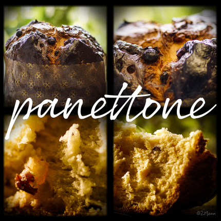 panettone