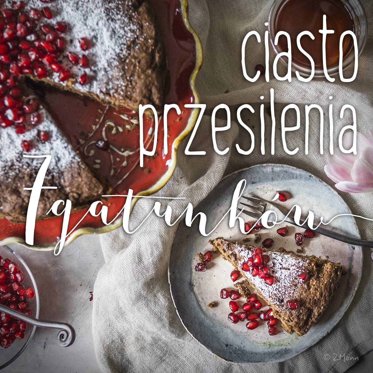 CIASTO PRZESILENIA . SIEDEM GATUNKÓW