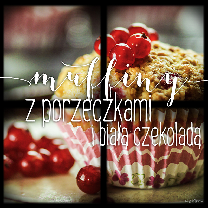 muffiny z porzeczkami i białą czekoladą